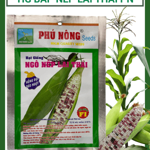 Hạt giống bắp (ngô) nếp lai thái Phú Nông