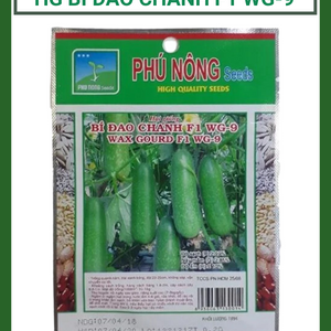 Hạt giống bí đao chanh f1 WG-9