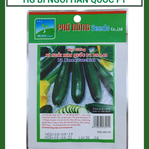 Hạt giống bí ngòi Hàn Quốc F1 PN-140