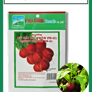 Hạt Giống Củ cải Đỏ Tròn Phú Nông