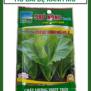 Hạt giống cải bẹ xanh mỡ cao sản Phú Nông
