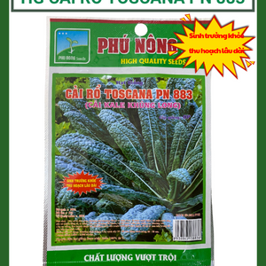 Hạt giống cải rổ Toscana PN 883 - Cải kale khủng long