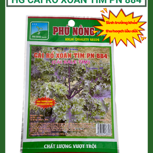 Hạt giống cải rổ xoăn tím PN-884 - Cải kale xoăn tím