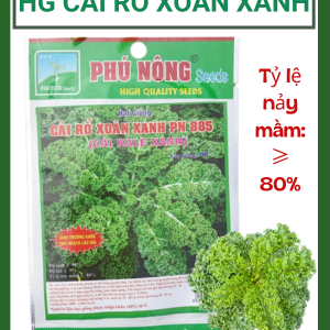 Hạt giống cải rổ xoăn xanh PN885 (kale) - Dễ trồng, ăn ngon, giàu dinh dưỡng
