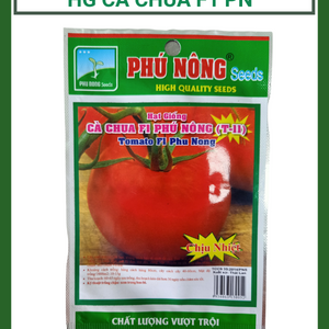 Hạt giống cà chua F1 PHÚ NÔNG T-11