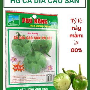 HẠT GIỐNG CÀ DĨA CAO SẢN PN 121 – TRÁI GIÒN NGỌT, VỎ SỌC ĐẸP, NĂNG SUẤT CAO