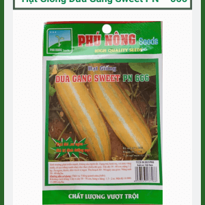 Hạt Giống Dưa Gang Sweet PN - 666