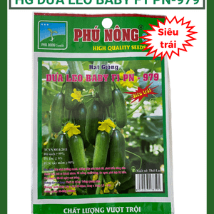 Hạt giống dưa leo baby PN-979 - Dưa leo chùm - Siêu trái