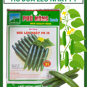 Hạt giống Dưa Leo Nhật F1 PN 15