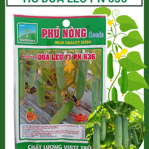 Hạt giống Dưa Leo PN 636