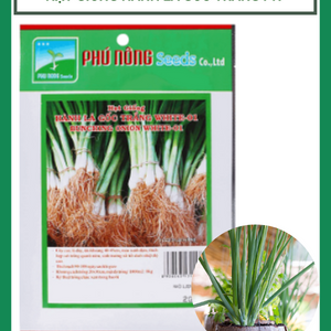 Hạt giống hành lá gốc trắng PN-01