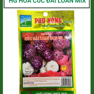 Hạt giống hoa cúc Đài Loan Mix PN-18