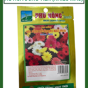 Hạt giống hoa đồng tiền (nhiều màu) PN-51