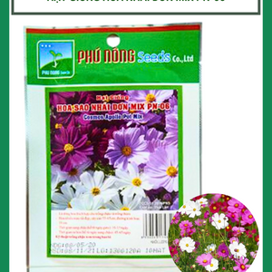 Hạt giống hoa sao nhái đơn mix Phú Nông