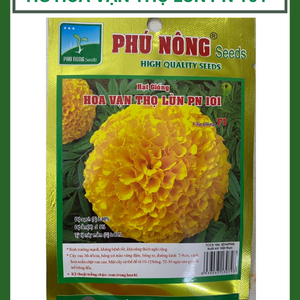 Hạt giống hoa Vạn Thọ Vàng Lùn F1 Phú Nông