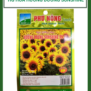 Hạt giống hướng dương sunshine PN-19