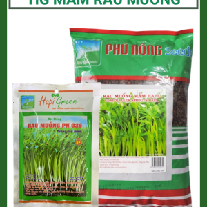 Hạt giống mầm rau muống Phú Nông