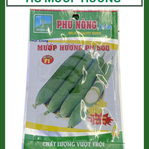 Hạt giống mướp hương - Rất thơm, siêu trái
