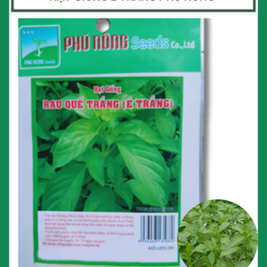 Hạt giống quế trắng (é trắng) Phú Nông 166