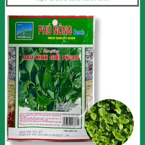 Hạt giống rau kinh giới PN-300 2gr
