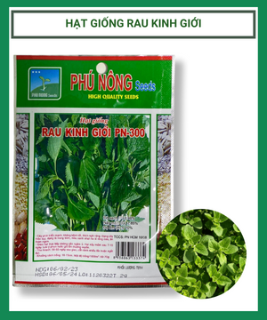 Hạt giống rau kinh giới PN-300 2gr