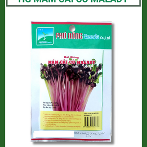 Hạt giống rau mầm cải củ Malady Phú Nông