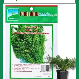 Hạt giống Rau Thì Là Phú Nông