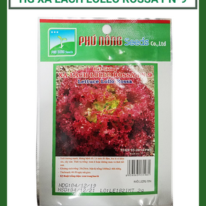 Hạt giống xà lách Lollo Rossa Phú Nông PN-9