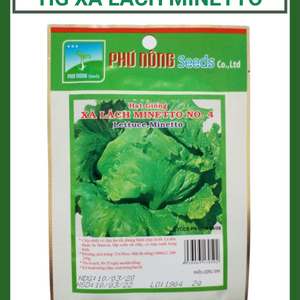 Hạt giống xà lách MINETTO Phú Nông