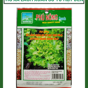 Hạt giống xà lách xoăn sư tử hạt đen Phú Nông NO.8