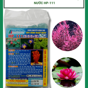 HP - 111 - Phân bón cho cây cảnh ngập nước