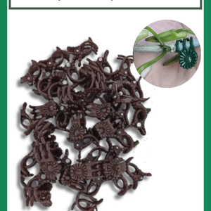 Kẹp bướm cố định cây hoa lan, kiểng lá