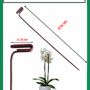 Kẹp Chậu Giữ Kie Lan