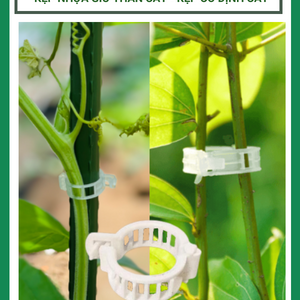 Kẹp nhựa giữ thân cây- kẹp cố định cây
