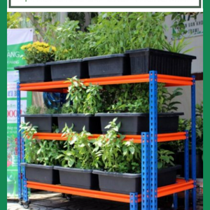 Kệ trồng rau thông minh, kệ trồng cây-Bộ 3 kệ lắp ráp(như hình)