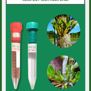 Keiki Duy kích mầm chồi