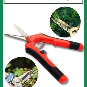 Kéo cắt cành nhọn các loại (Licota, LS+, Top, C-mart, Easycut, Inox,...)