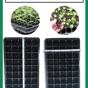 Khay nhựa ươm hạt 40 và 49 lỗ - Khay ươm hạt giống