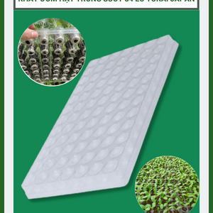 Khay Ươm Hạt Trong Suốt 84 Lỗ Tokai Nhật Bản