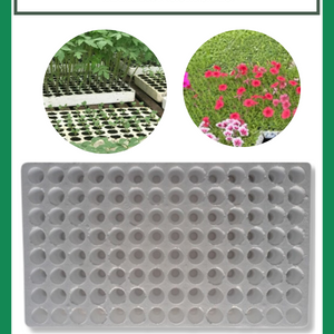 Khay xốp ươm cây 84 lỗ - Khay ươm hạt giống