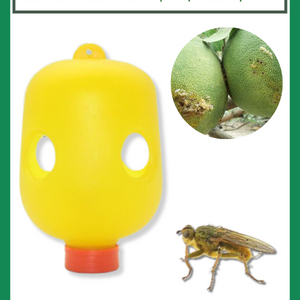 Lồng bẫy ruồi vàng nhựa diệt ruồi đục trái