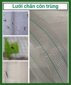 Lưới chắn côn trùng nhà kính, nhà màng, nhà lưới. Lưới chắn côn trùng Thái Việt