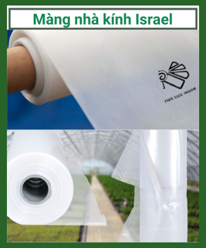 Màng nhà kính Politiv Israel - Nilong (PE) làm nhà kính