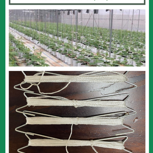 Móc treo dây treo chịu lực