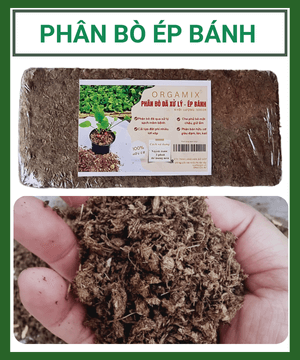 Phân Bò Ép Bánh Orgamix – Đã xử lý, không hôi, 100% hữu cơ