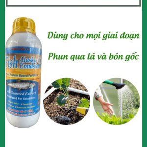 Phân Bón Đạm Cá Fish Alaska Emulsion - Nhập Khẩu USA