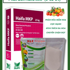 Phân Bón MKP (0-52-34) - Israel (Gói 500gr) kích mầm, kích hoa, dưỡng trái