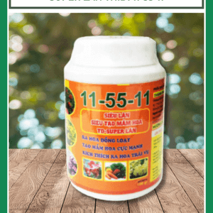 Phân bón Super Lân THIDI 11-55-11