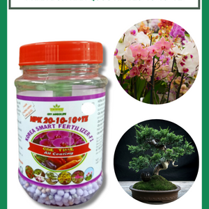 Phân Bón Thông Minh Hàn Quốc NPK 20-10-10+TE