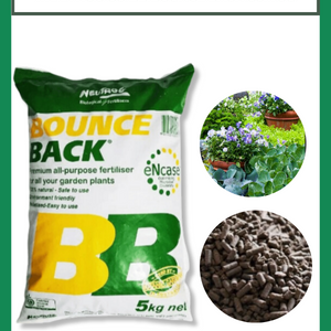 Phân hữu cơ BB Bounce Back nhập khẩu Úc